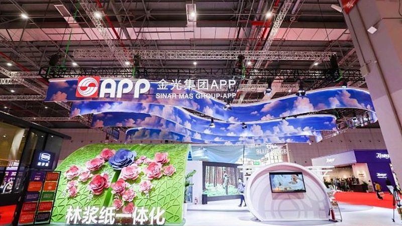 画册与折页：设计差异解析